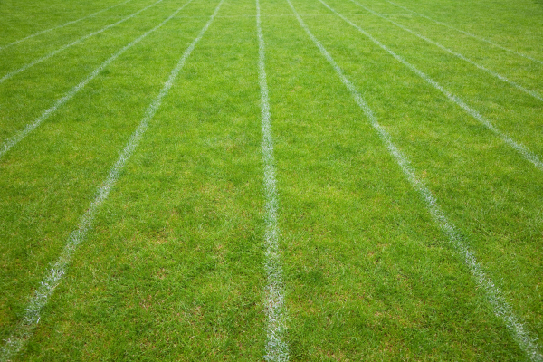 Upcoming Athletics Events
Baseball, Soccer & Volleyball