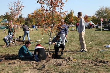 Tree Planting