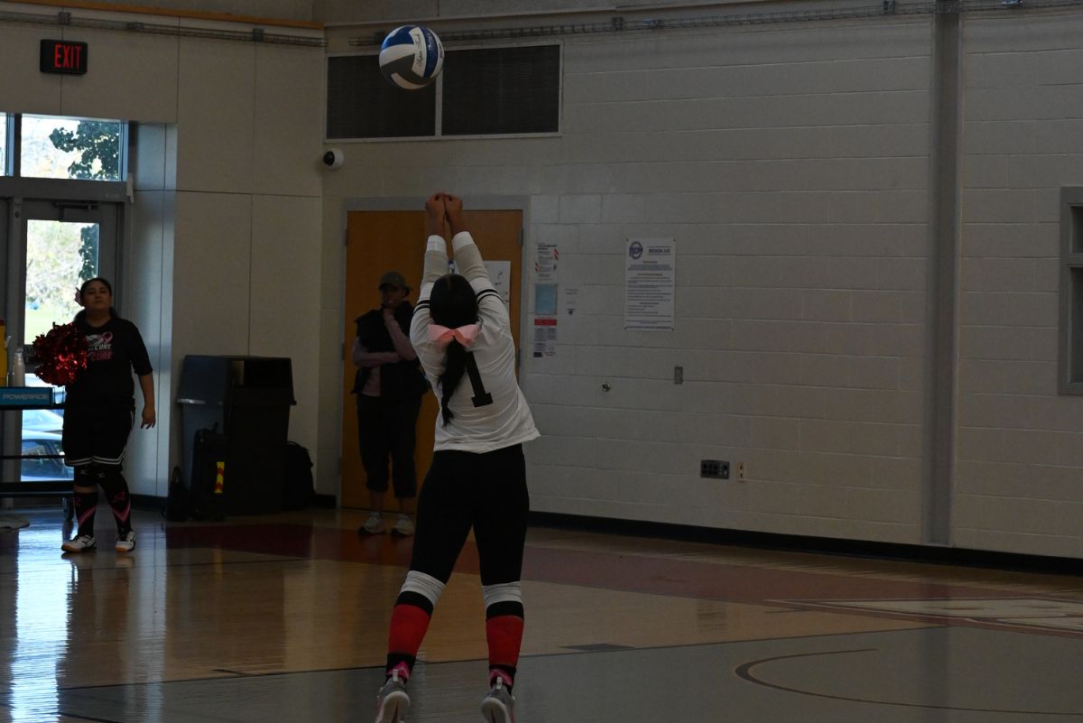 Volleyball player at a bhcc game