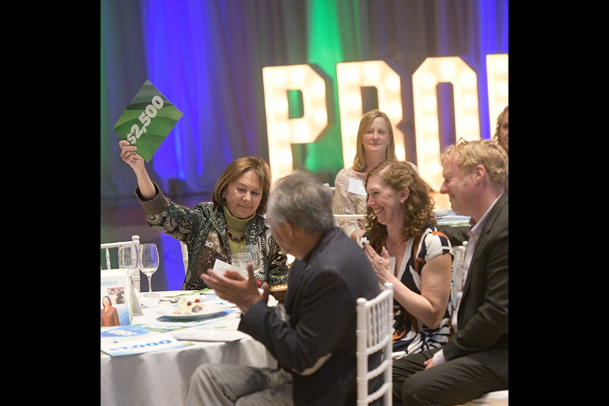 auction at the gala