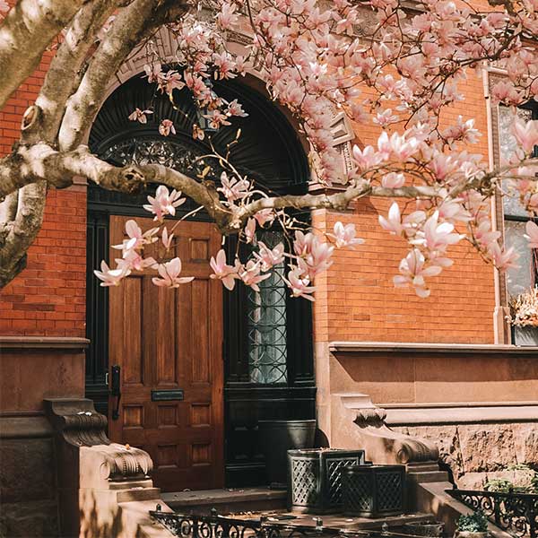 2020 Student Photo Contest