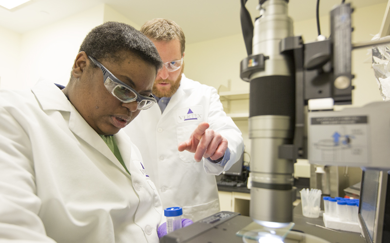 Partner and student in a lab