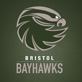 Bristol Logo