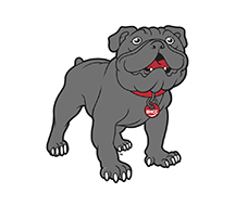 Bulldog Mascot Logo - Dark