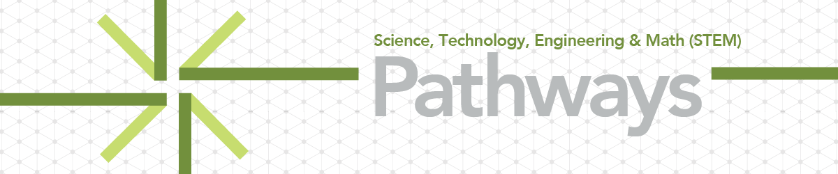 Science, Technology, Engineering and Math (STEM) Pathways