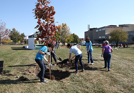 tree planting event