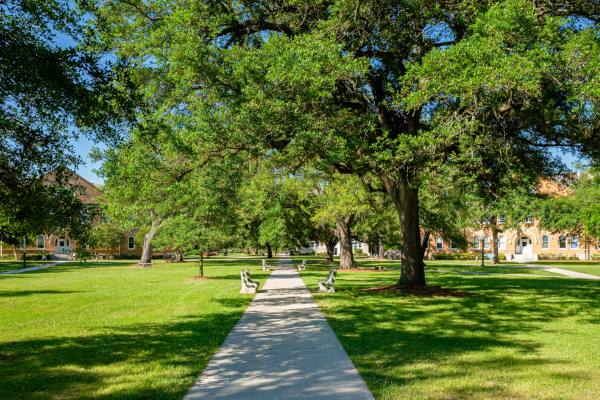 walkway at a college campus