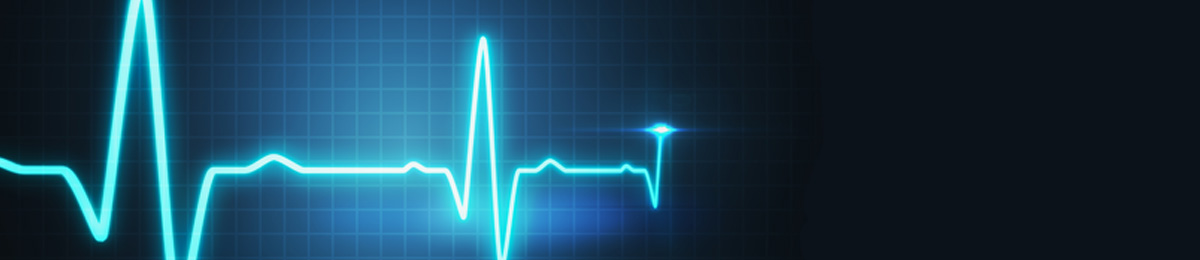 Heart pulse chart on computer screen
